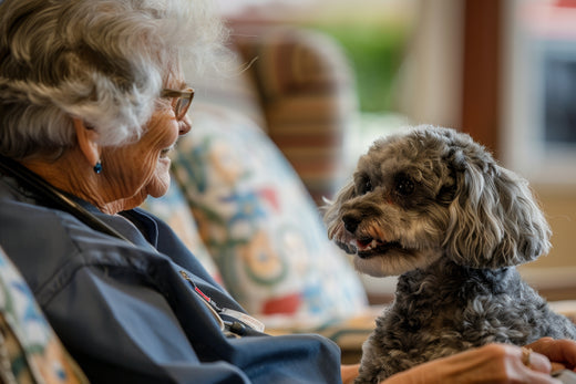 Understanding how much Zooomy to give