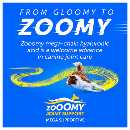 Zooomy Hyaluronic Acid Joint Care for Dogs
