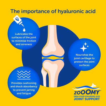 Zooomy Hyaluronic Acid Joint Care for Dogs
