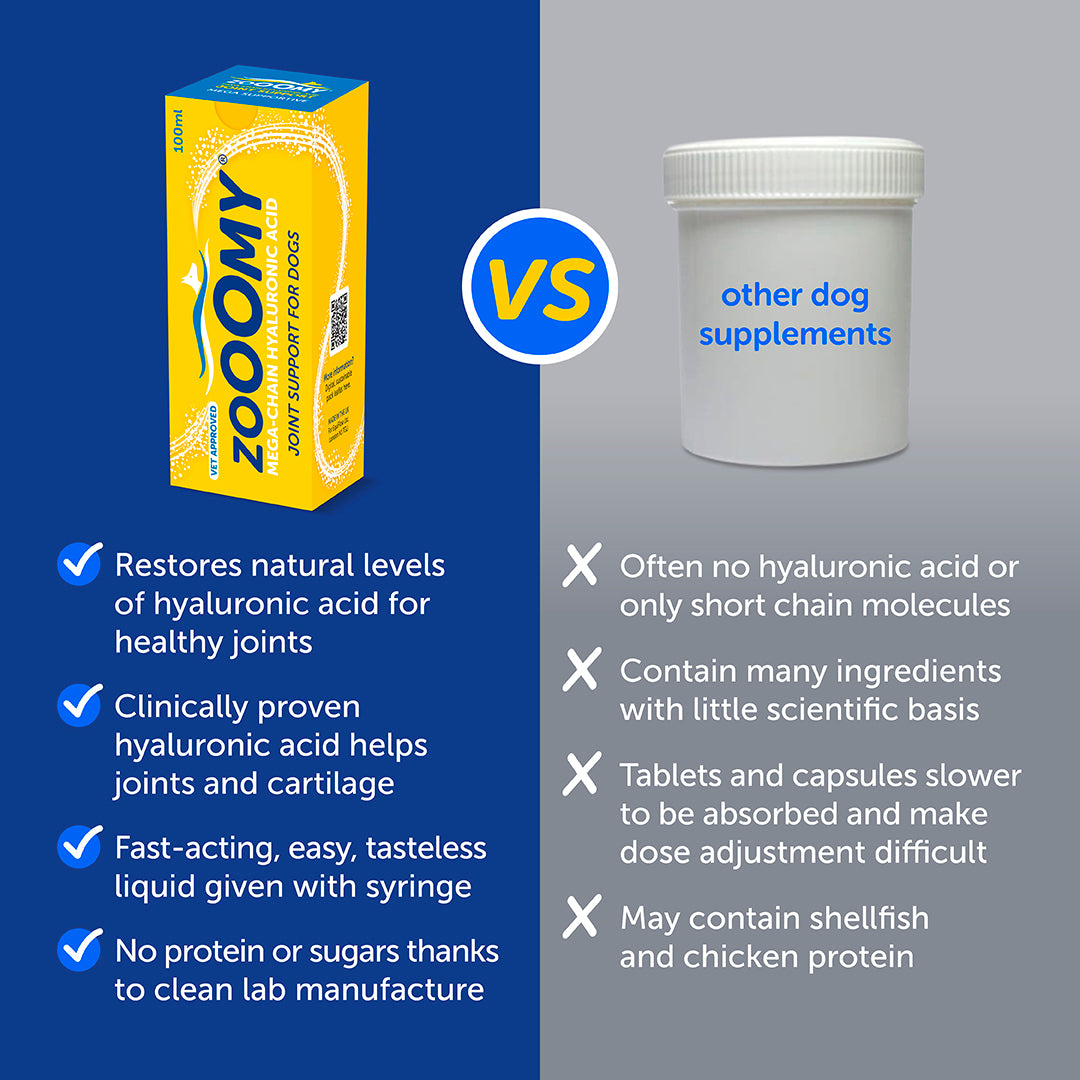 Infographic showing zooomy hyaluronic acid joint supplement vs other supplements. Text reads: Zooomy restores natural levels of hyaluronic acid for healthy joints. Clinically proven hyaluronic acid helps joints and cartilage. Fast acting, easy, tasteless liquid given with syringe. No protein or sugars thanks to clean lab manufacture. Other joint supplement often no hyaluronic acid or short chain molecules. Contain many ingredients with little scientific basis. Tablets and capsules slower to be absorbed.