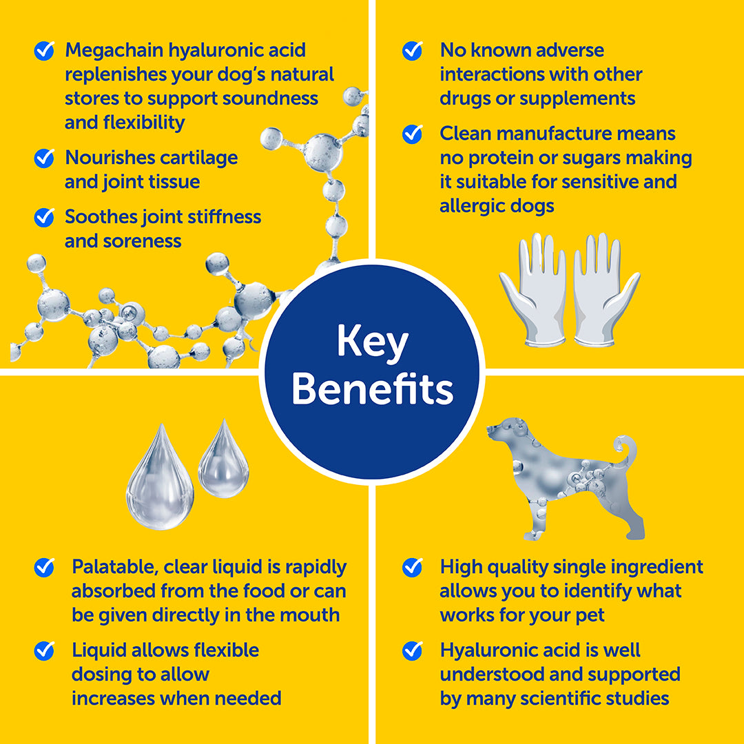 Zooomy Hyaluronic Acid Joint Care for Dogs