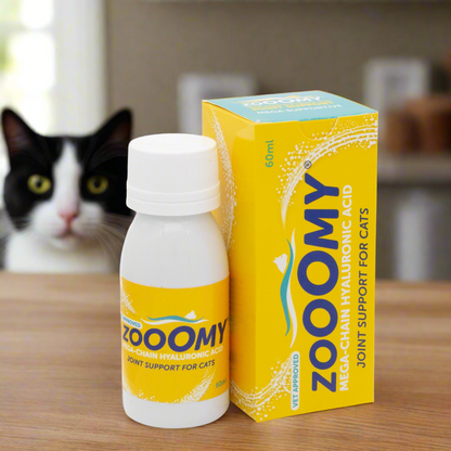 black and white cat looking at a bottle of zooomy hyaluronic acid joint supplement in a white bottle with yellow label next to the product box. 
